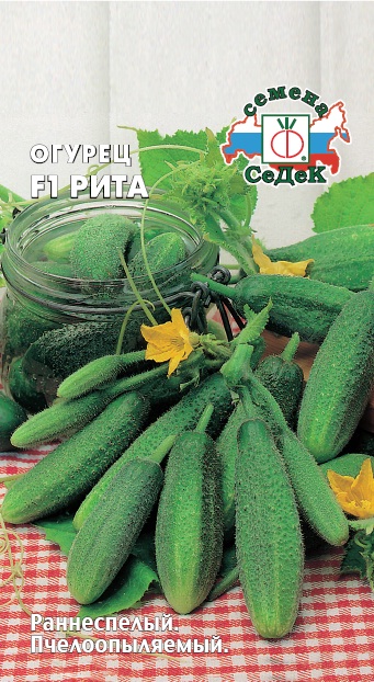 Огурец Рита F1 0,2 г ц/п Седек (пч)