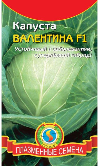 Капуста Валентина F1 30 шт ц/п Плазмас (поздняя)
